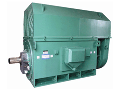 YR5004-8/400KWYKK系列高压电机